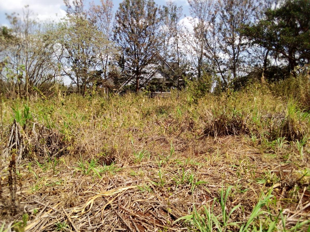 0.5 ac Land at Karen - 1