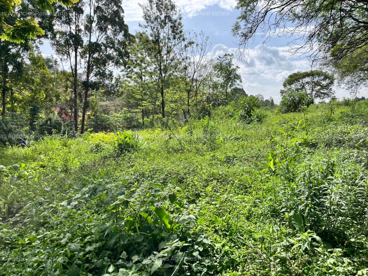 Residential Land at Westlands - 3