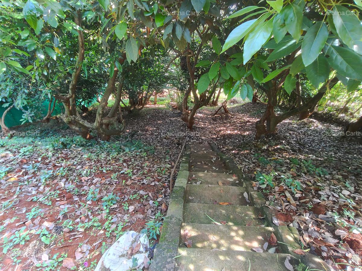 4 Bed House with En Suite at Loresho - 10