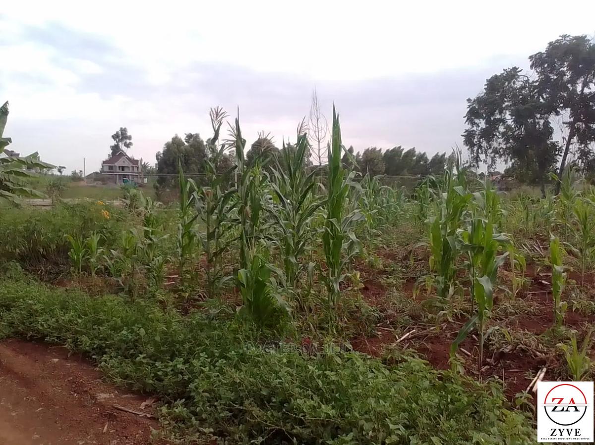 0.25 ac Residential Land at Mhasibu Silver Birch Estate - 8