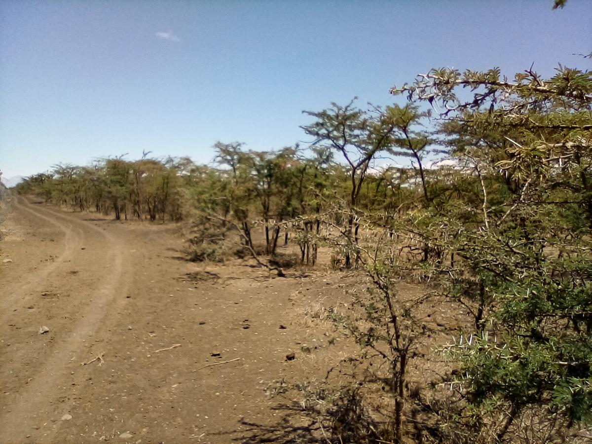 Land at Nanyuki - 7