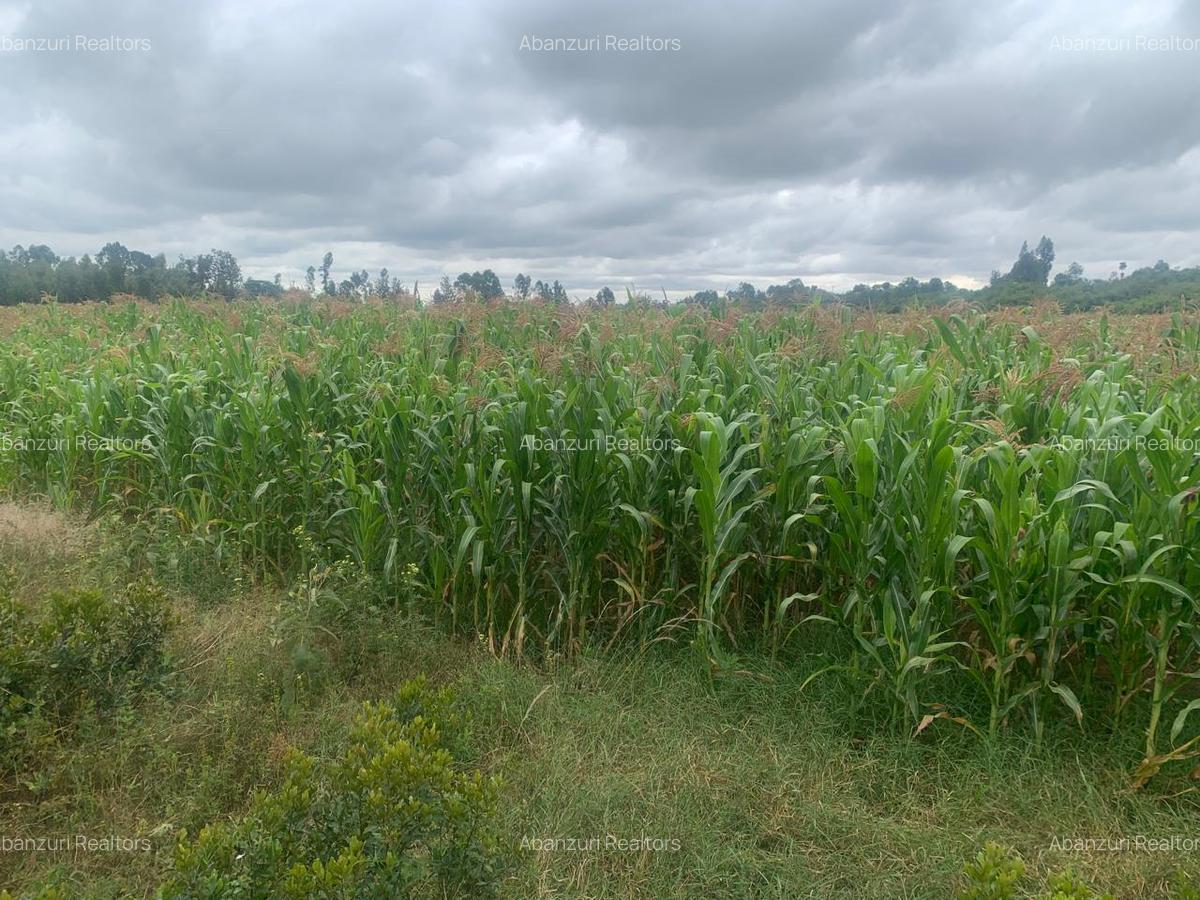 Land at Muhotetu - 7