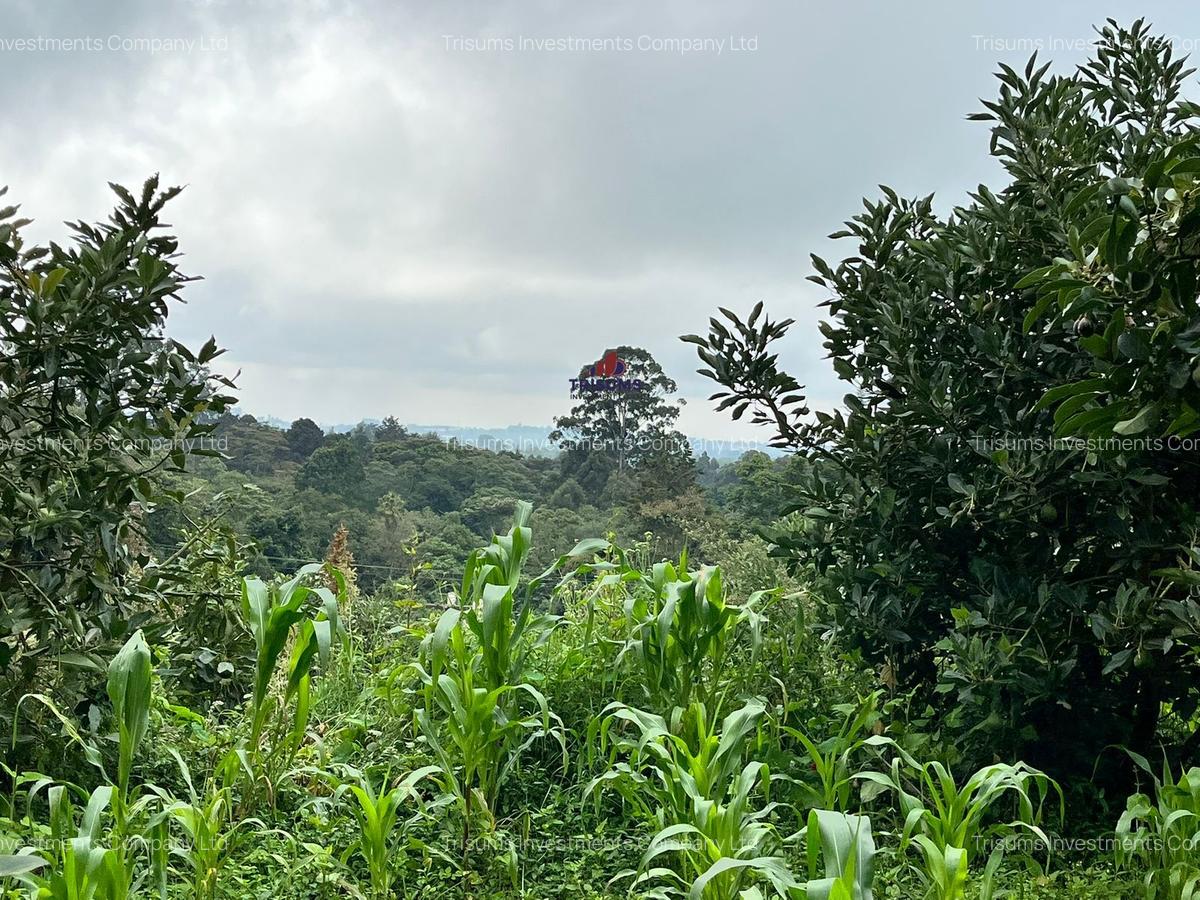 2.4 ac Land at Tigoni - 8