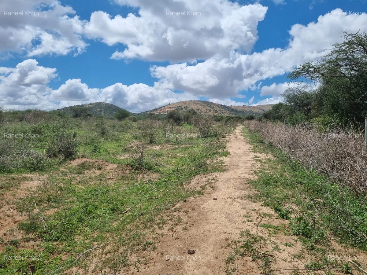 14 ac Land in Bisil - 6