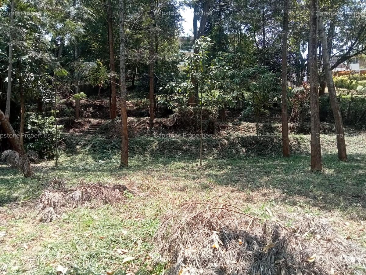 Residential Land in Kyuna - 13