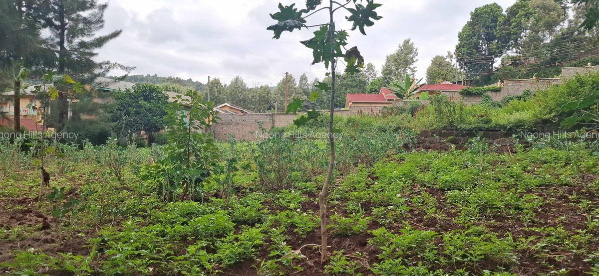Commercial Land in Ngong - 12