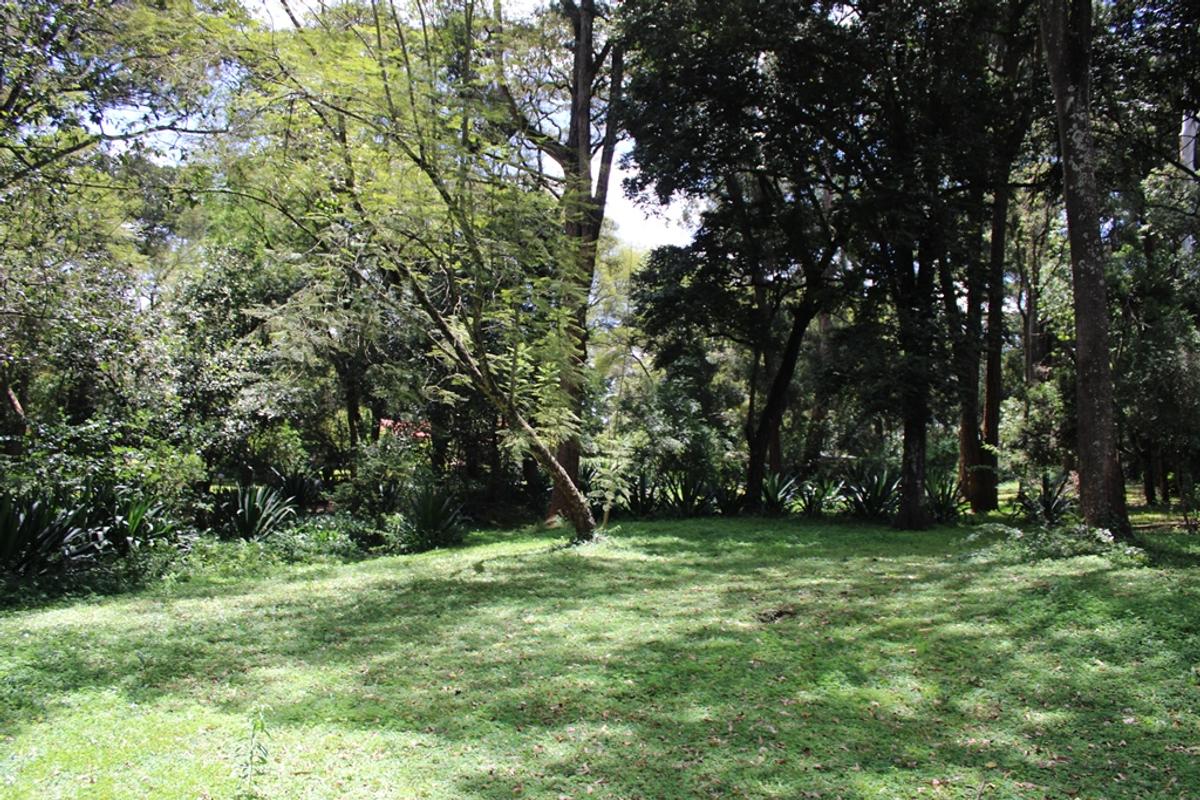 Land in Karen - 2