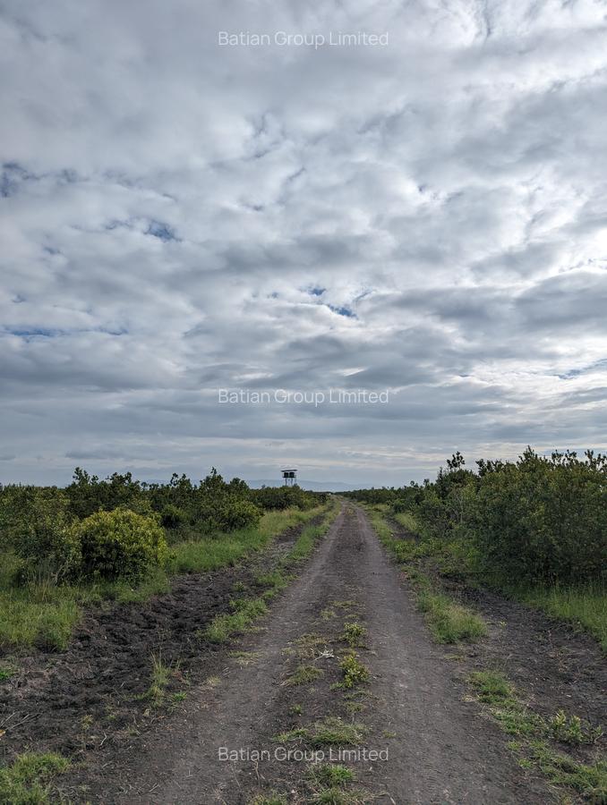 1 ac Land in Nanyuki - 2