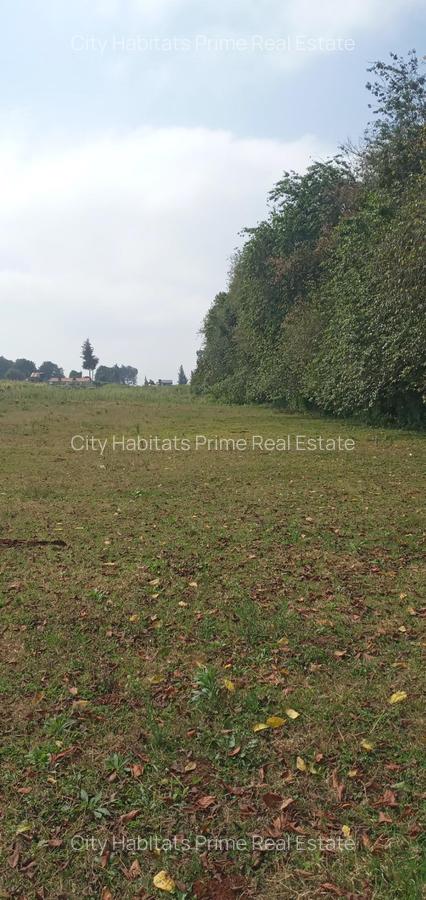 0.5 ac Residential Land in Tigoni - 2