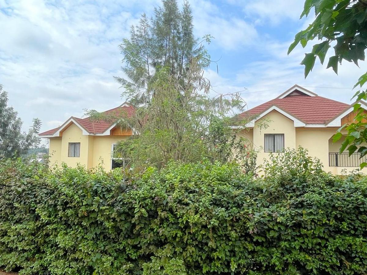 4 Bed Villa with En Suite in Kiambu Road - 7