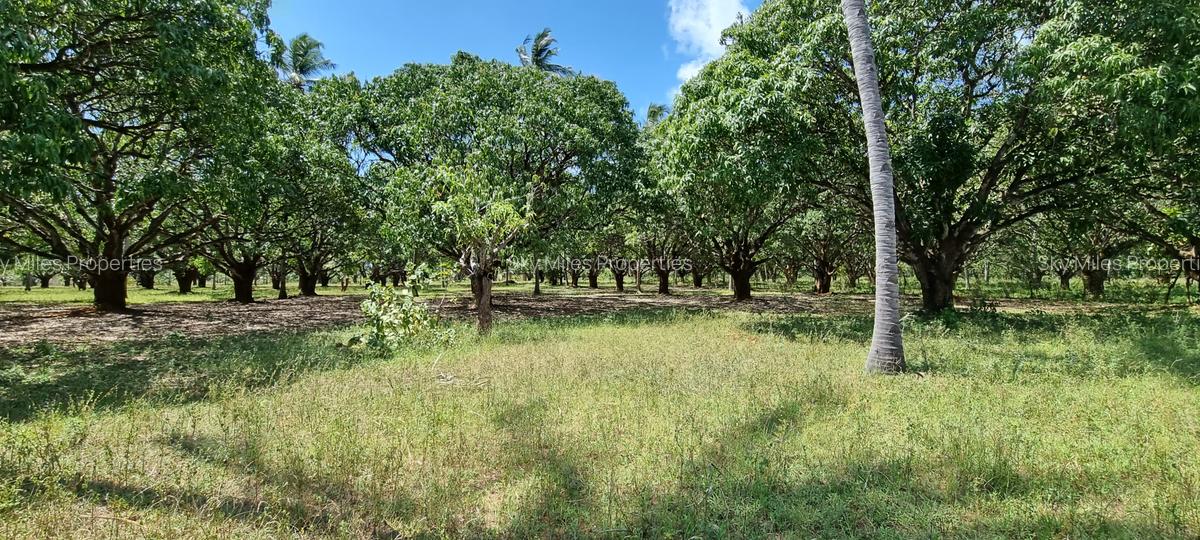 6 ac Land at Mtwapa - 18