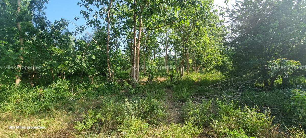 1 ac Land at Kijipwa - 15