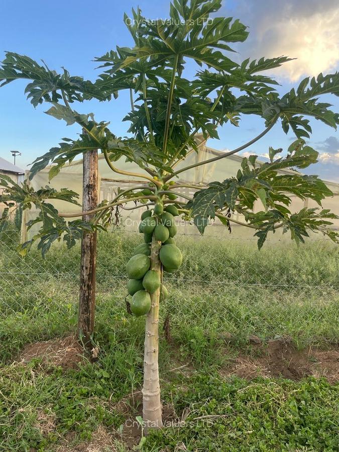 Land in Athi River - 4