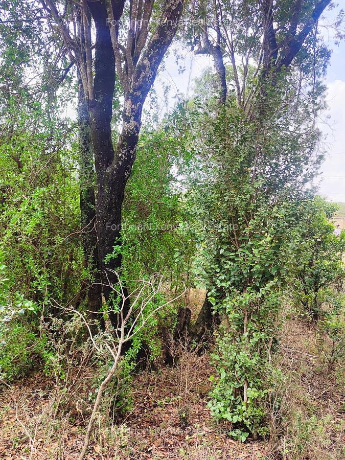 Residential Land at Hardy - 10