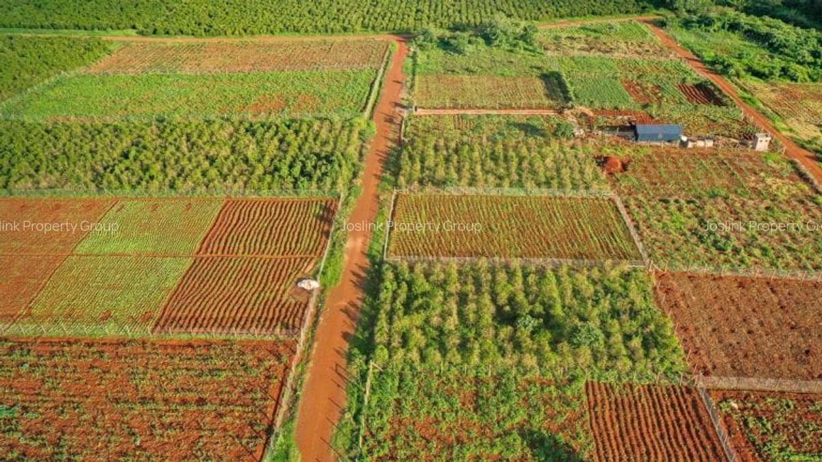 Residential Land in Ruiru - 5