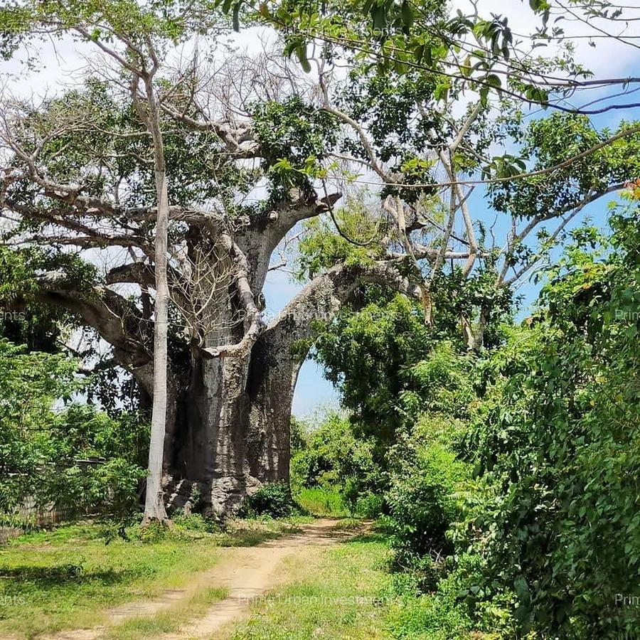 Land in Vipingo - 13