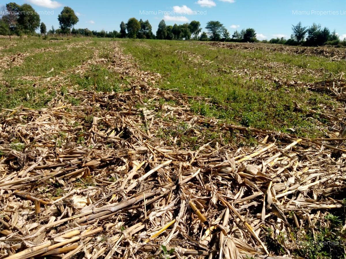 1 ac Land at Ngata - 1