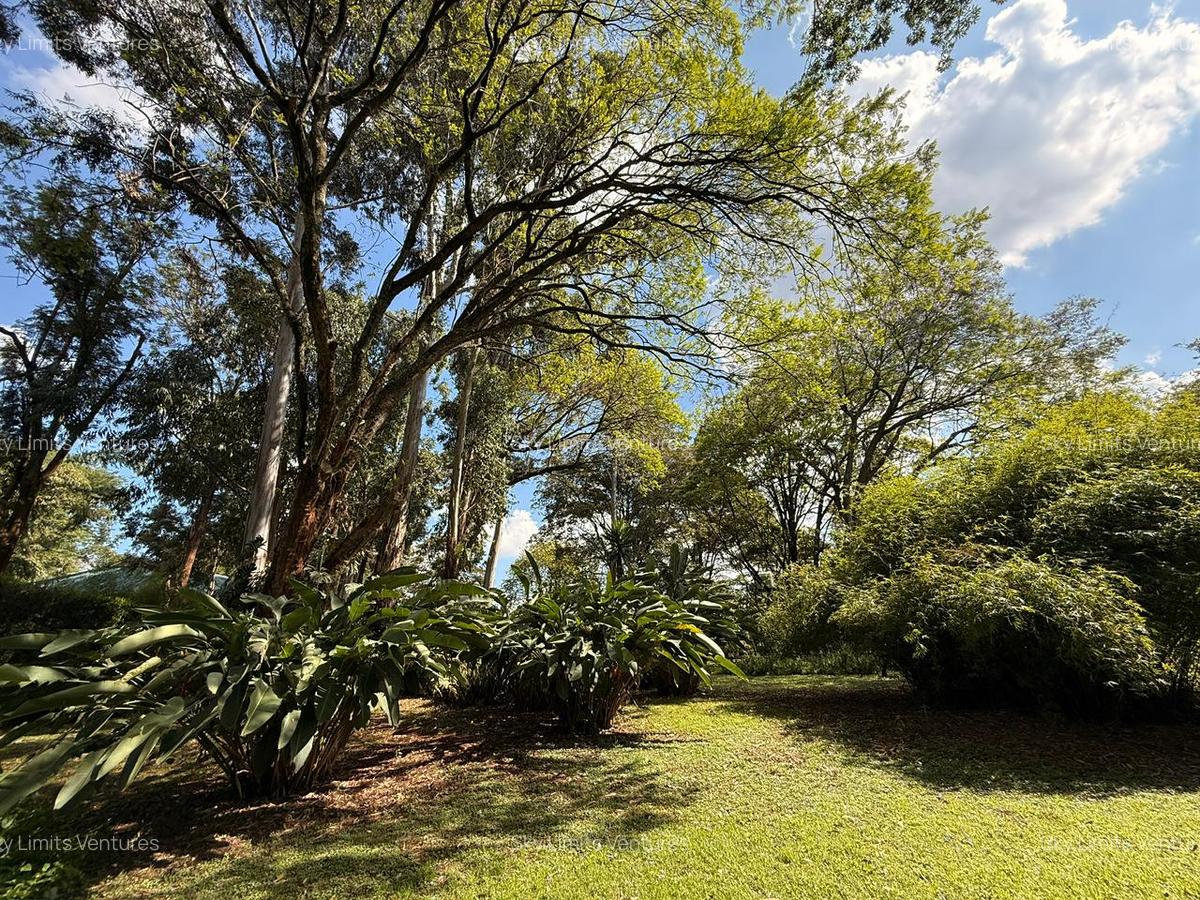 2.5 ac Land in Ridgeways - 10