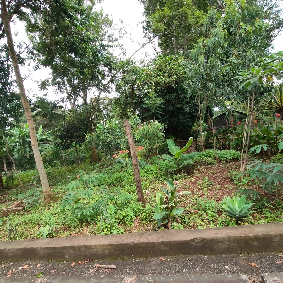 0.5 ac Land at Nandi Road - 20