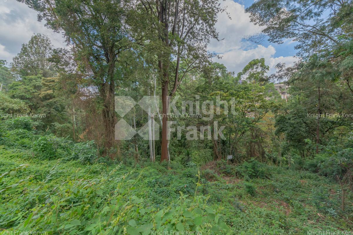 0.49 ac Land at Kitisuru Road - 2