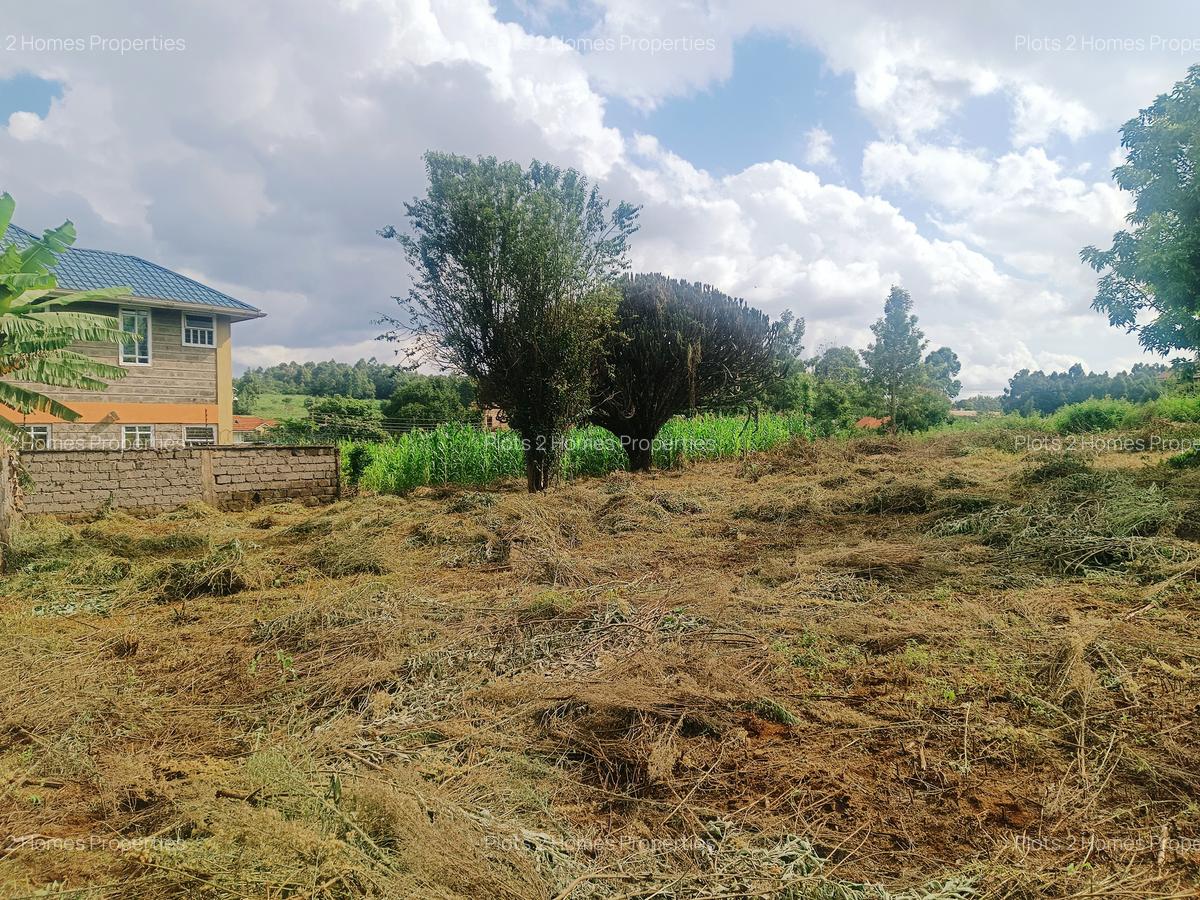 1,000 m² Residential Land at Riu-Nderi - 12