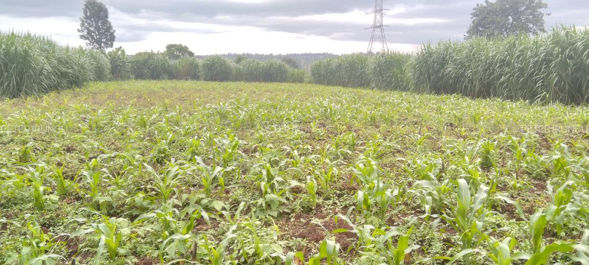 0.5 ac Land in Redhill - 4