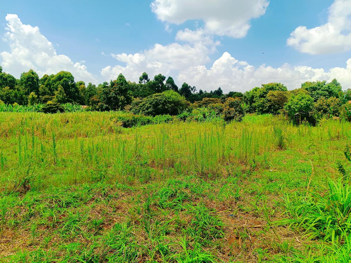 1,000 m² Residential Land at Riu-Nderi - 8