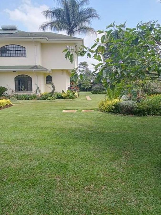 4 Bed House with En Suite in Nyari - 9