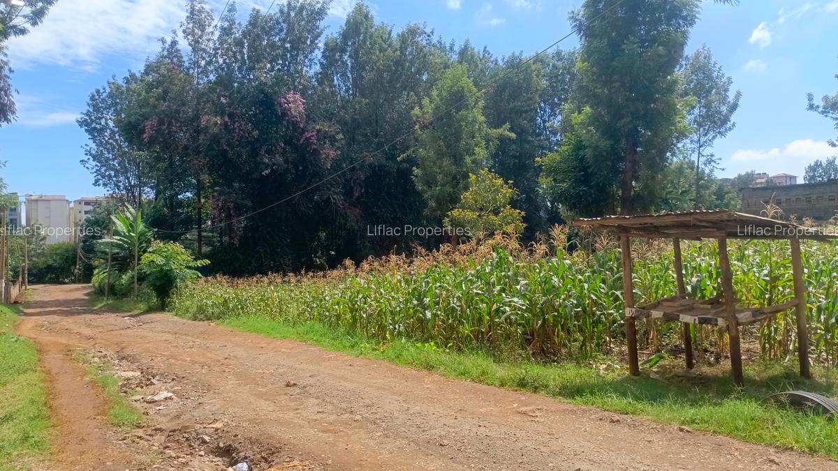 2,832.8 ac Land in Thindigua - 7