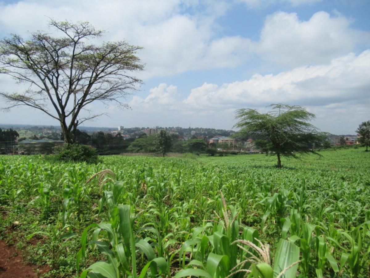 Land at Ngong Town - 2