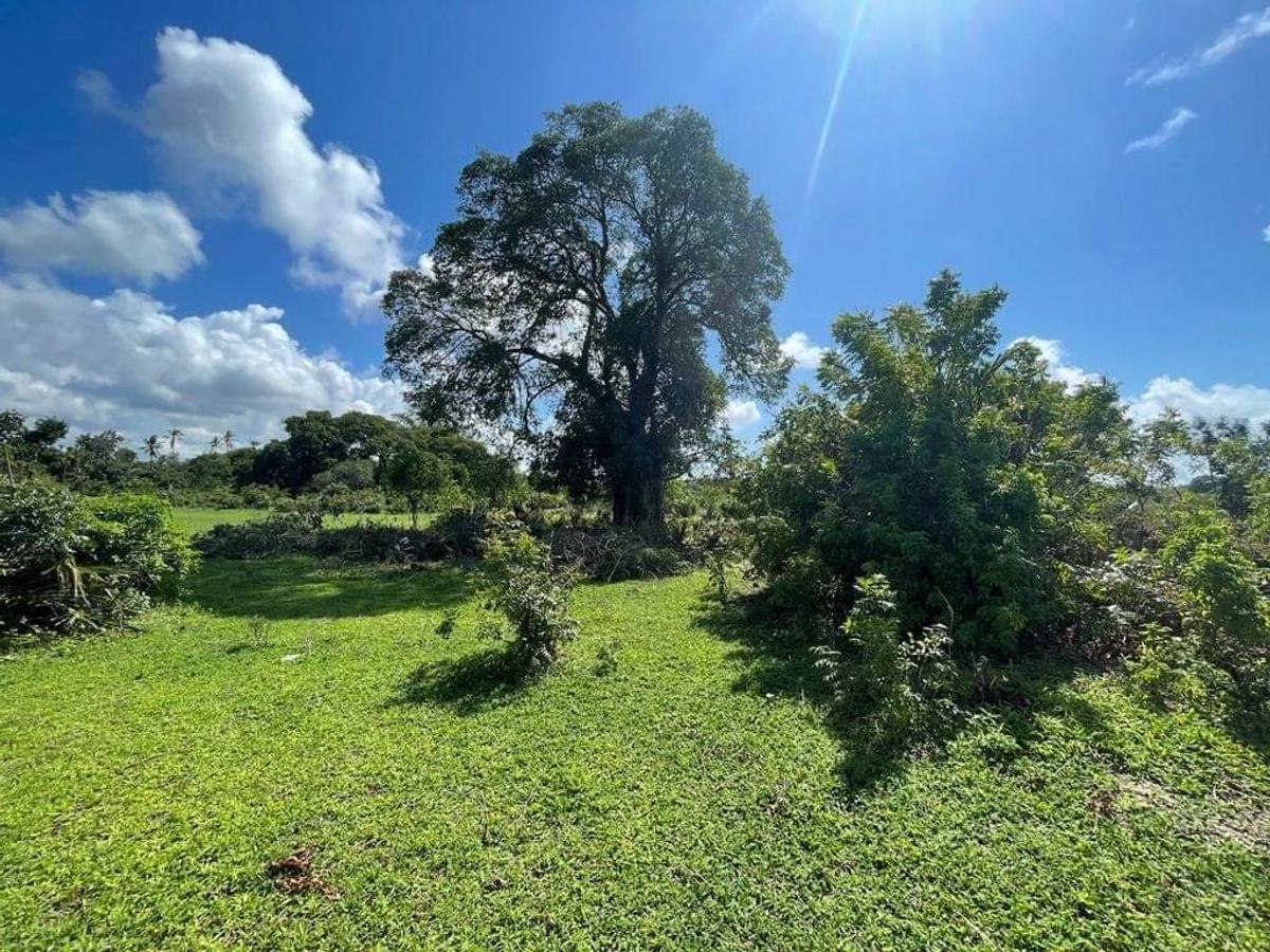 Residential Land in Nyali Area - 11