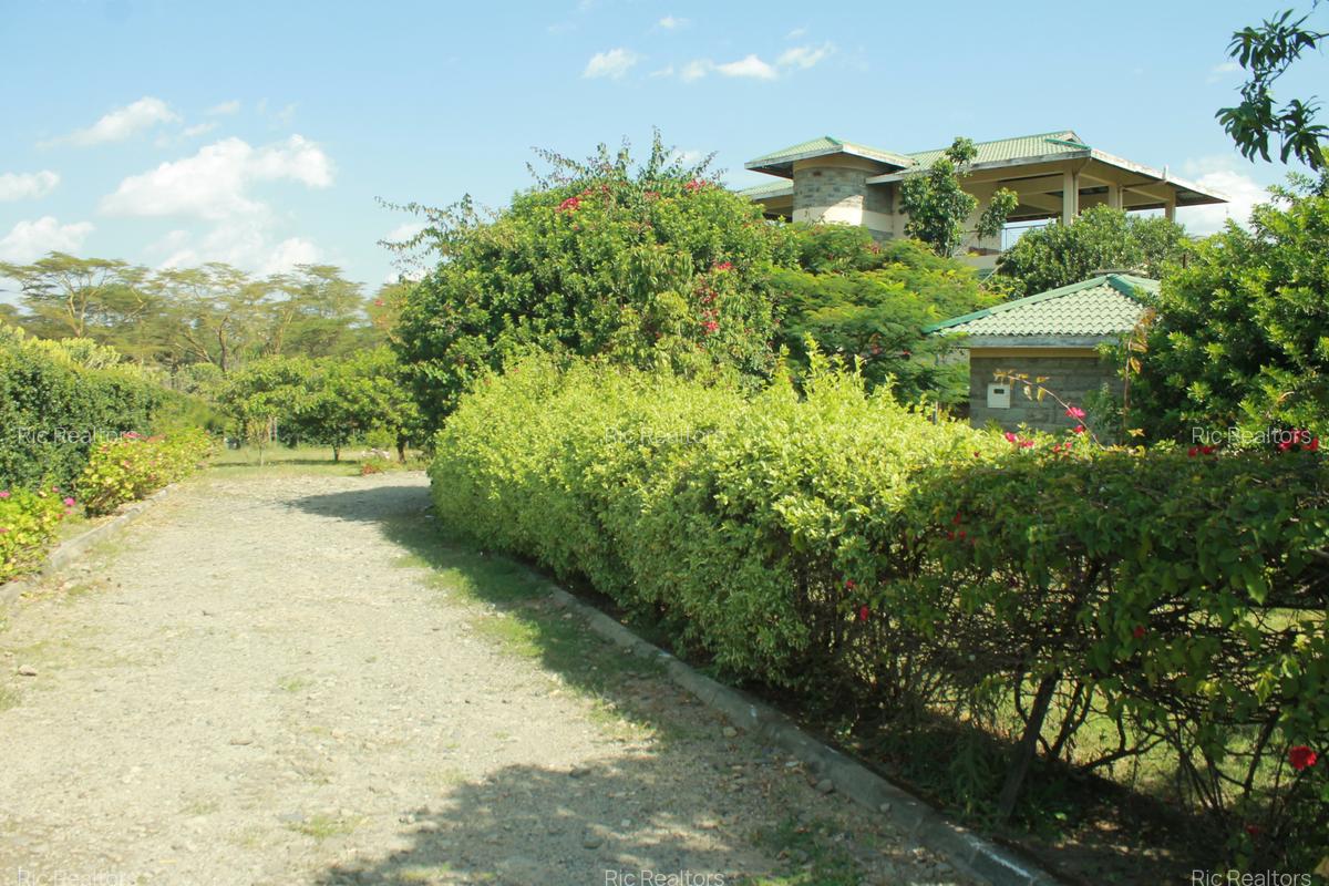 4 Bed House with En Suite at Kinja ( Oloiden - Naivasha ) - 9