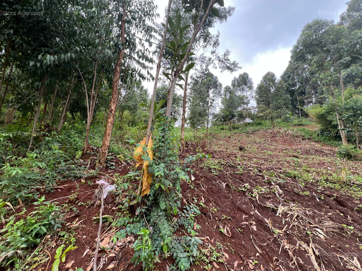 0.42 ac Residential Land at Kirawa Road - 8