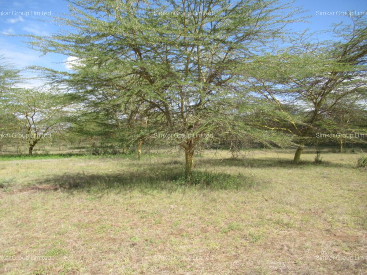 Land at Kitengela - 14