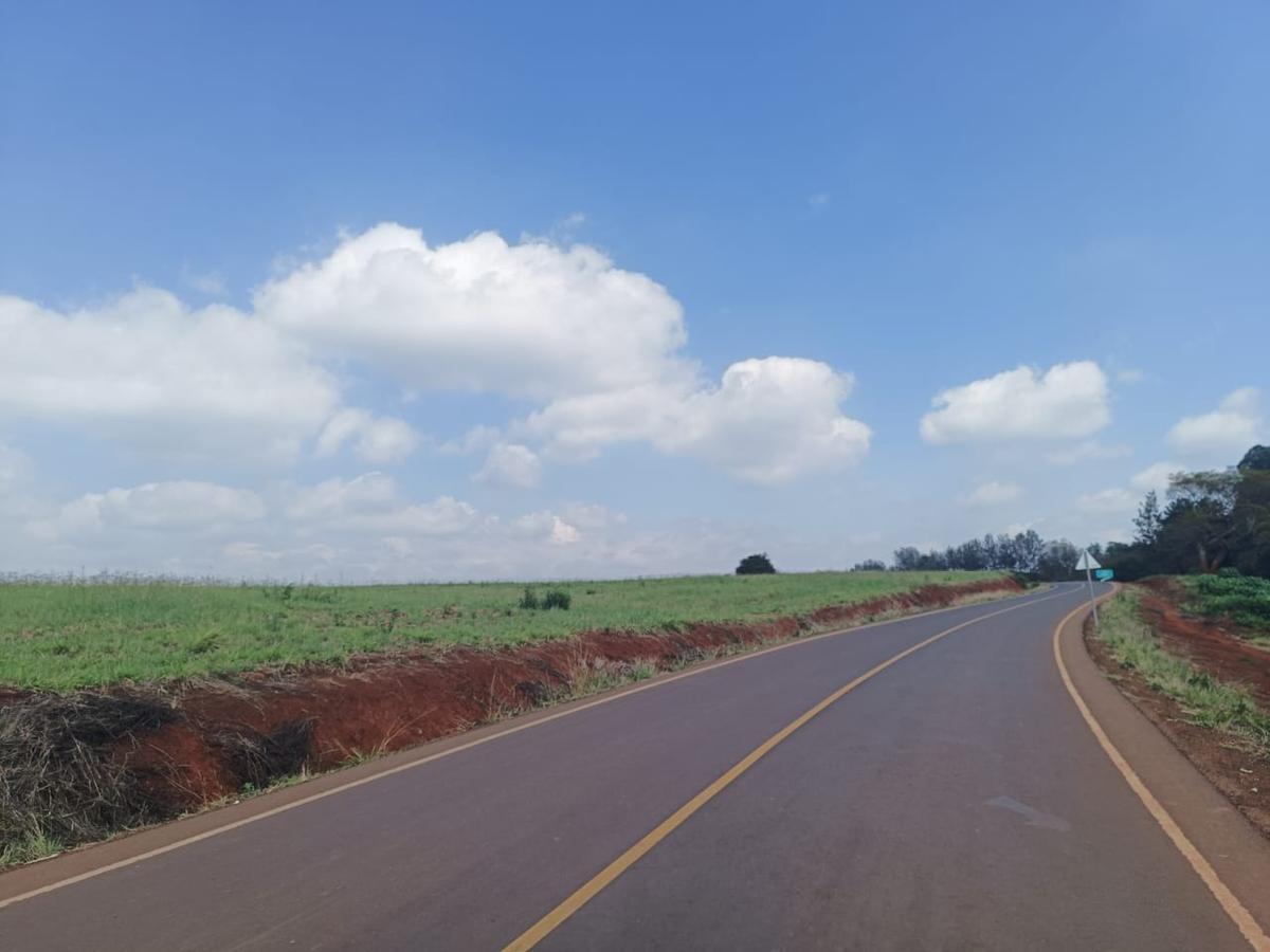 5 ac Land at Near Tatu City - 11