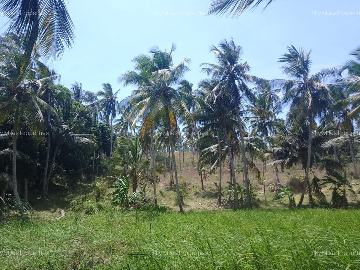 90 ac Land at Ridge - 8