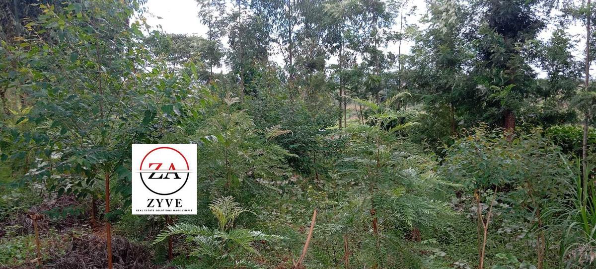 0.125 ac Land at Kasphat Estate - 10