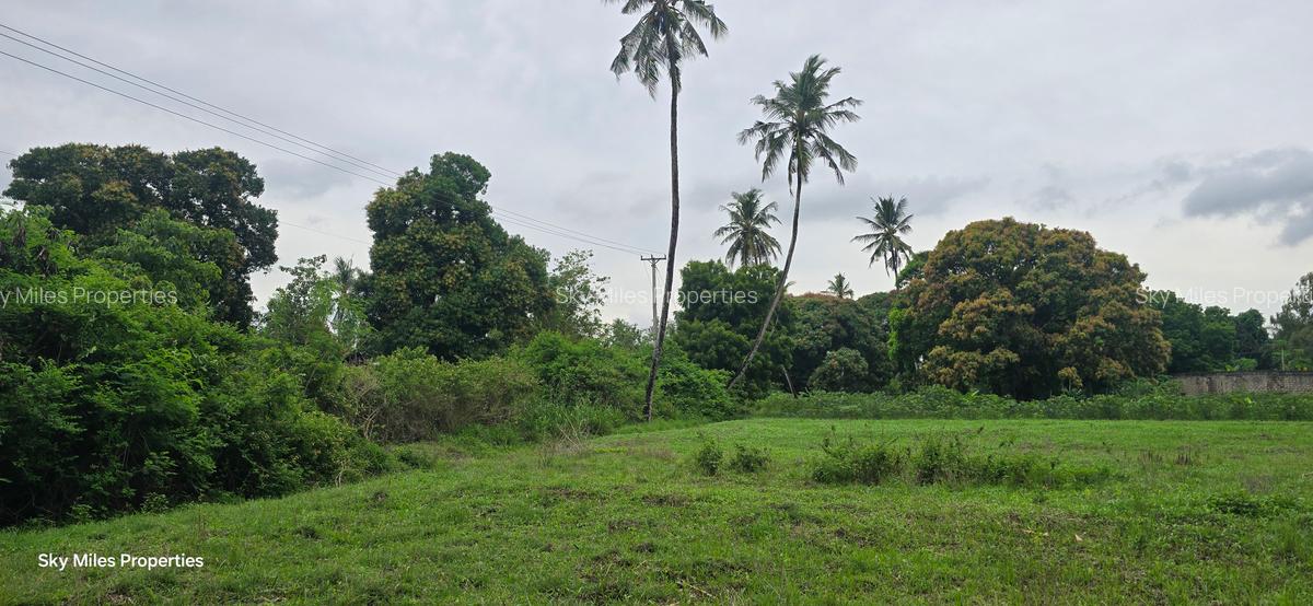 2 ac Land at Animo - 1