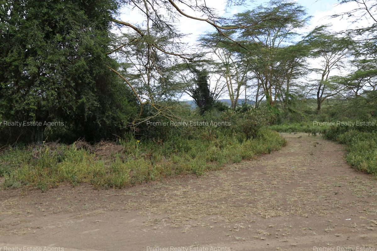 0.25 ac Residential Land at Nakuru - 5