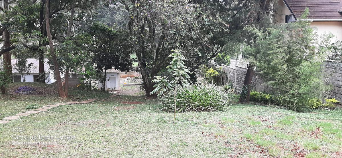 Commercial Property with Fibre Internet in Lavington - 3