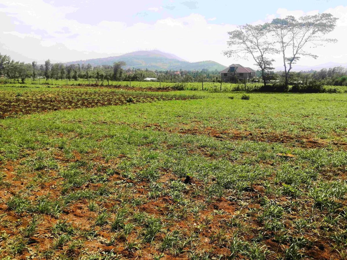 Land in Ngong - 4