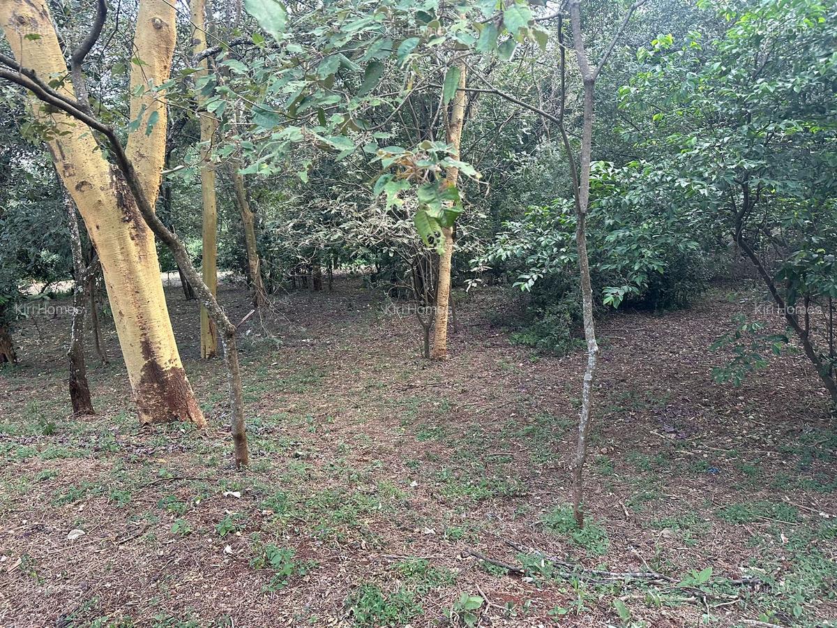 Land in Karen - 16