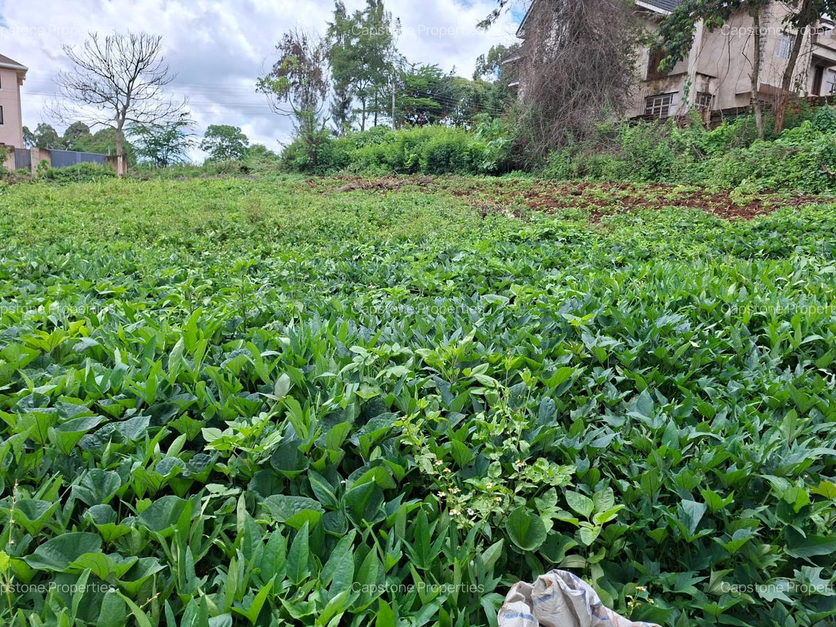 Residential Land in Runda - 6