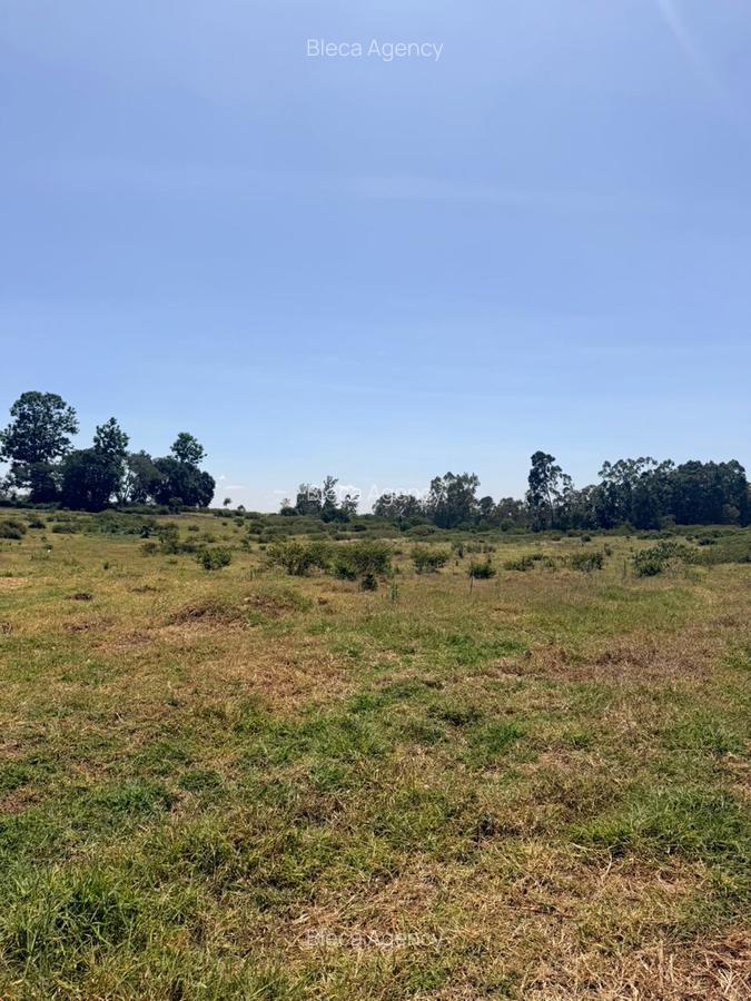 500 m² Land at Ruiru-Githunguri Road - 17