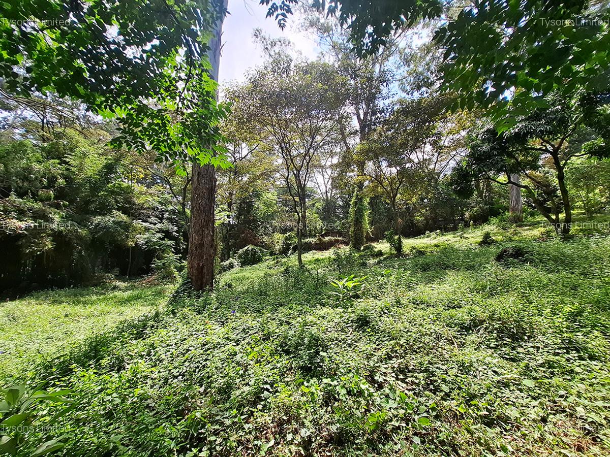 1.49 ac Land in Riara Road - 3