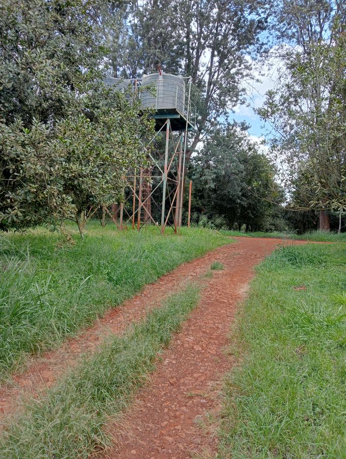 0.125 ac Land at Thika Grove Chania-Opposite Blue Post Hotel - 4