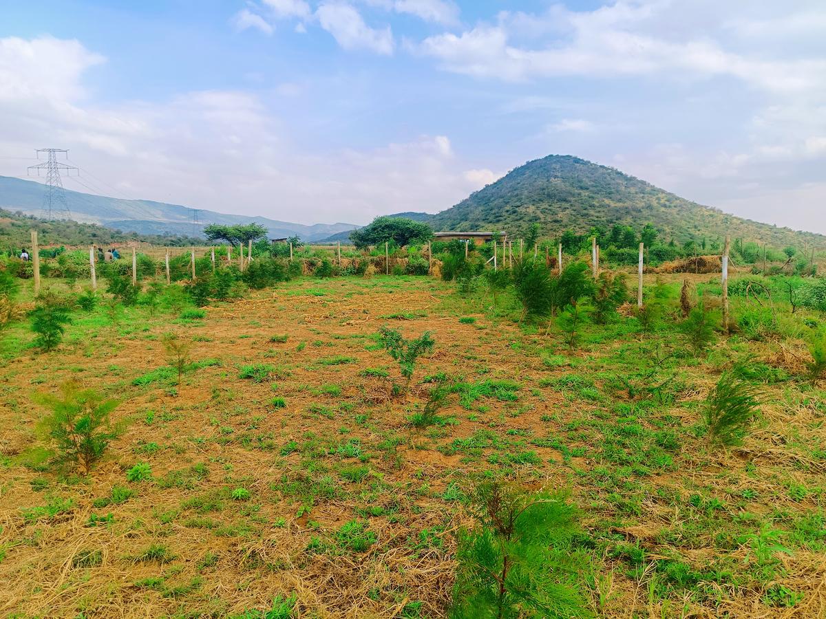 500 m² Residential Land at Ndiuni - 1