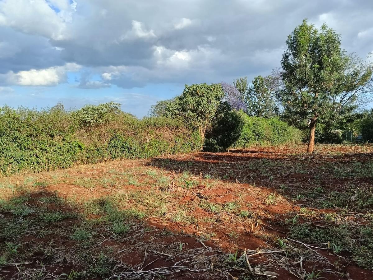 Residential Land at Kiukenda - 4