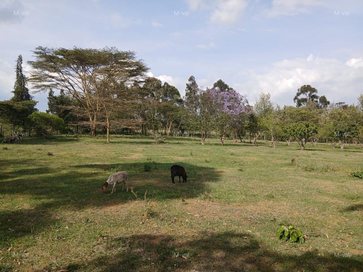 0.114 ac Land in Nyeri - 4