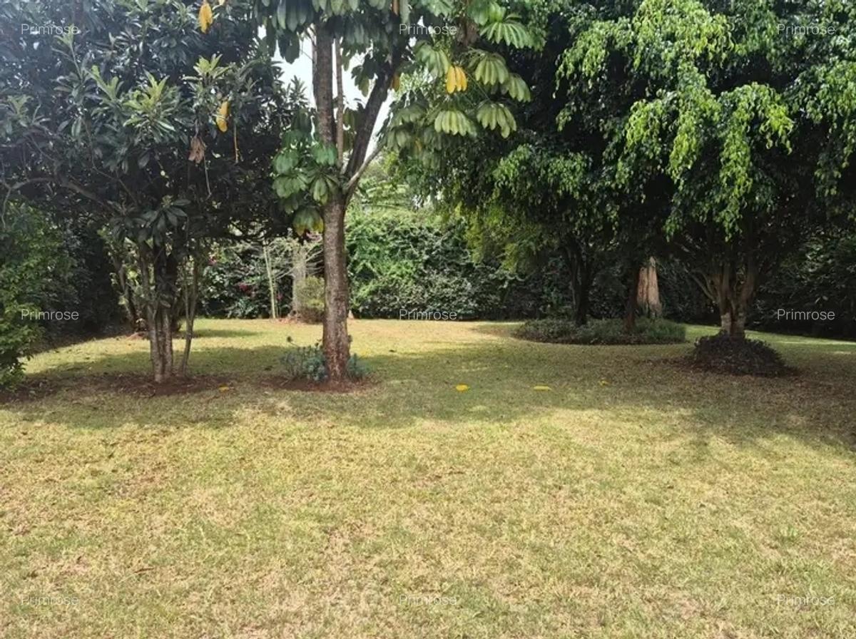 3 Bed House in Loresho - 5